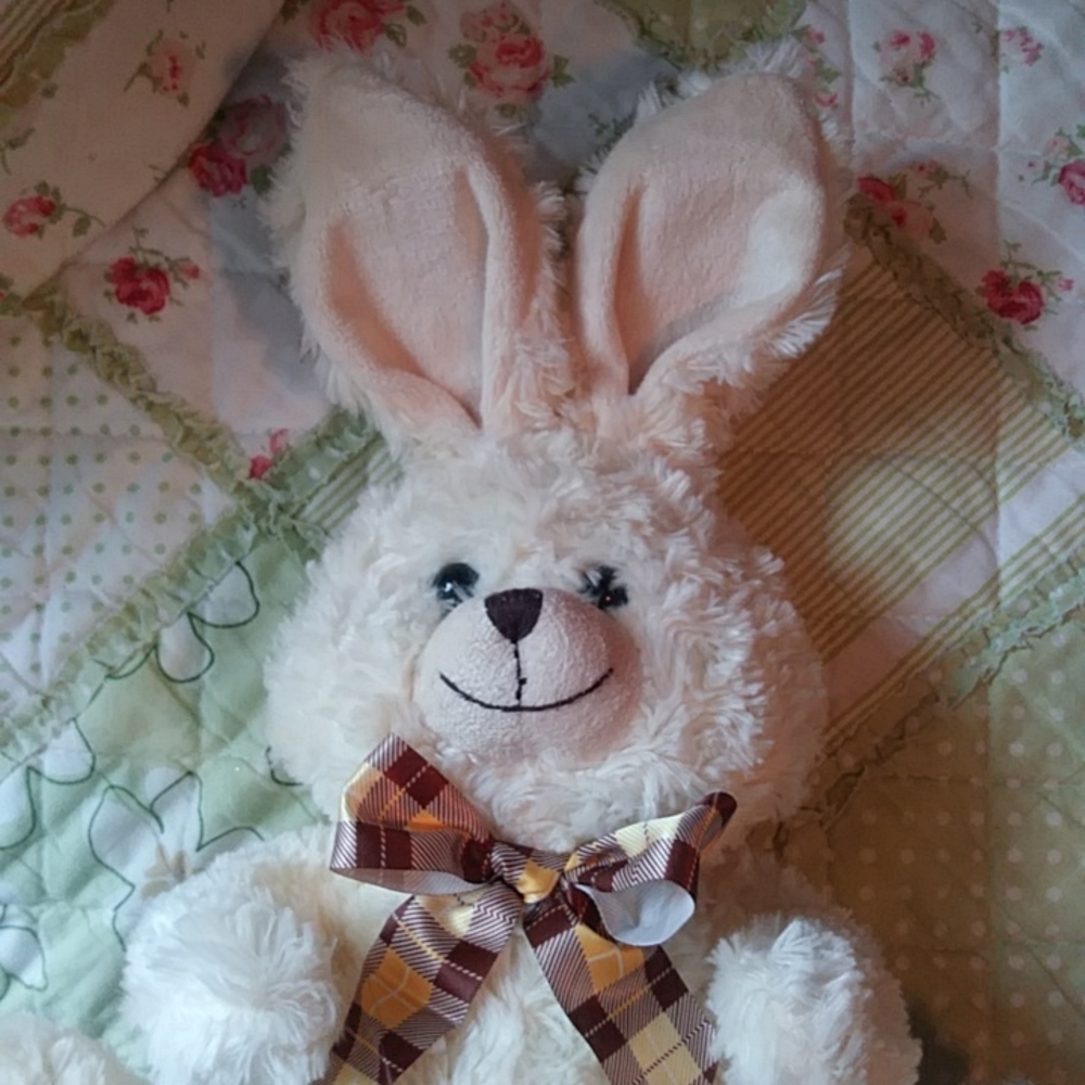 Kellytoy Stuffed Rabbit Bunny - Picture 2 of 9